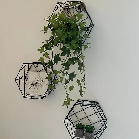 Casa Chia